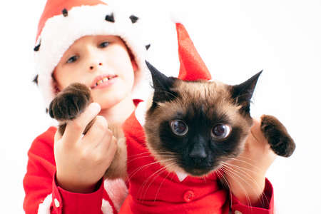 Cat Santa Claus on a background of a childの写真素材