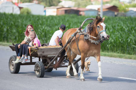 Belarus, Gomel region, July 17, 2020 Belarusian village. A horse with a cart is carrying people along an asphalt road.のeditorial素材