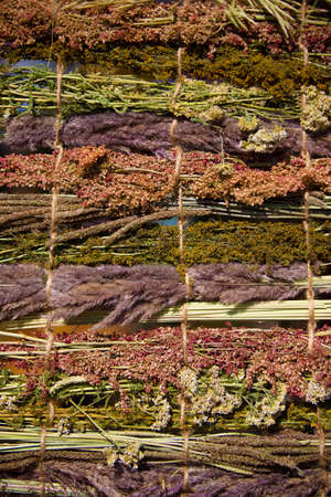 Background of a variety of medicinal dried herbs.の写真素材