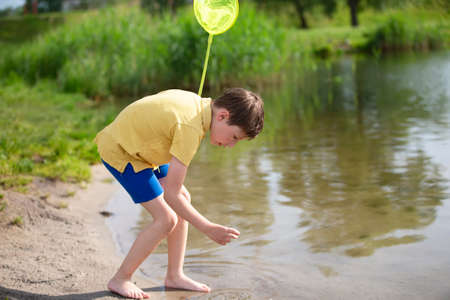 The boy is catching fish with a butterfly net on the lake.の写真素材