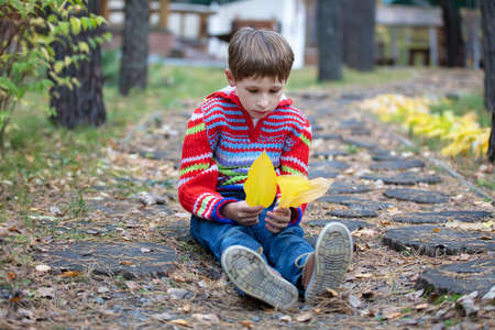 Beautiful boy sits with yellow leaves. Child on an autumn walk.の写真素材