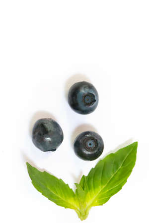 Blueberry berry with green leaf vertical. Three berries background.の写真素材