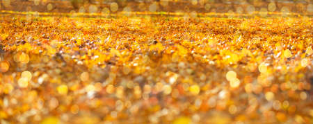 Autumn yellow background banner with bokehの写真素材