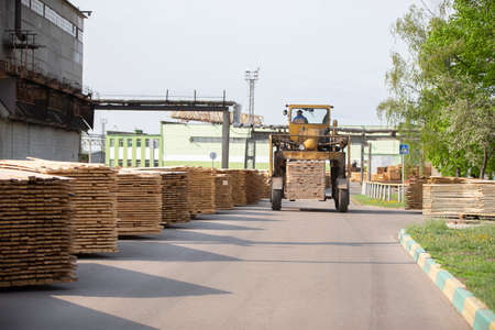 Wood processing industry. Loader with logs. Industrial wood processing