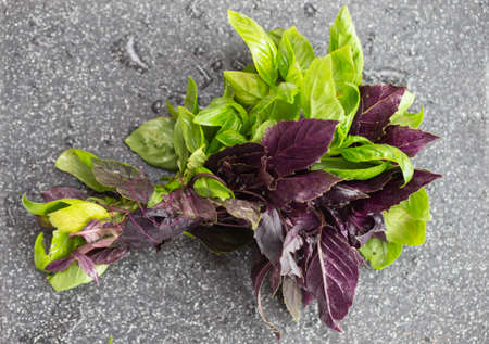 Bunch of basil on a gray backgroundの写真素材