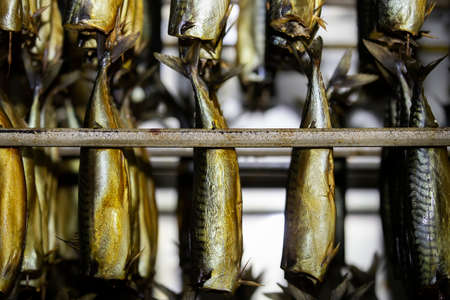 Industrial smoking of fish. Mackerel in a smoking oven.