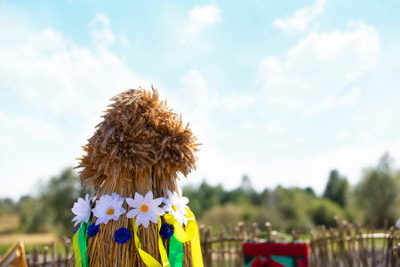 Stack of ears of corn on a background of blue sky. Concept of a rich harvest.の写真素材