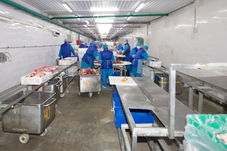 Belarus, Gomilsky district, 13 11 2020. Meat production. workers behind a conveyor belt at a meat factory.のeditorial素材