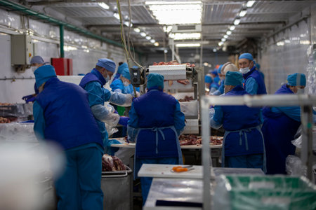 Belarus, Gomilsky district, 13 11 2020. Meat production. workers behind a conveyor belt at a meat...