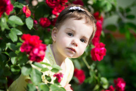 Beautiful little girl among a bush of scarlet roses. Portrait of a one-year-old baby.の写真素材