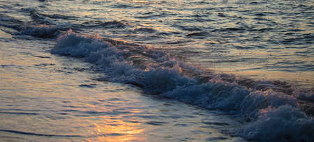Beautiful wave with foam in the evening sea.