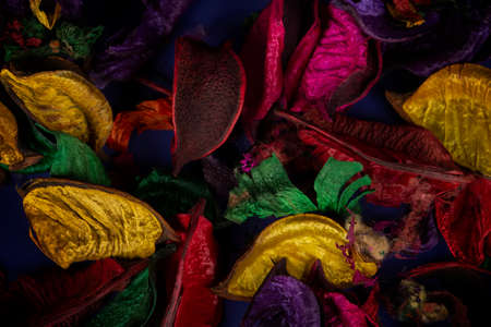 Dried multi-colored petals on a dark background.