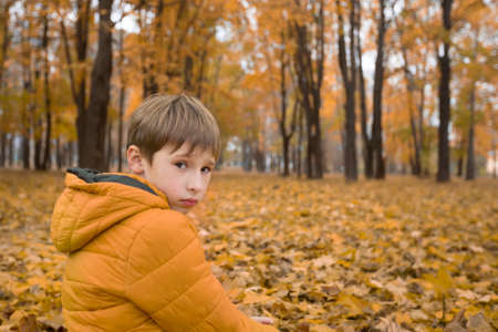 Sad little boy in the autumn park. A child on a walk on a cloudy rainy day.の写真素材