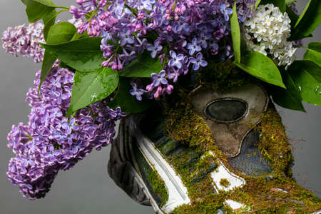 Part of an old sneaker covered with moss and blooming sauerkraut. Shoes made from natural materials.の写真素材