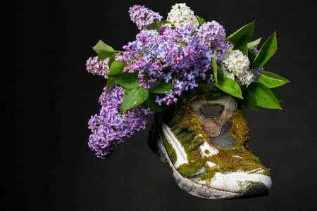 A sneaker covered with moss and blooming lavender. Shoes made from natural materials.の写真素材