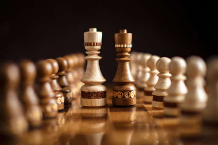 Chess on a dark background. A puzzle game with tricky combinations that requires planning and...