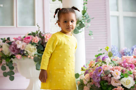 Little African American girl in a yellow dress with curly braids against the background of beautiful bouquets of flowers.の写真素材