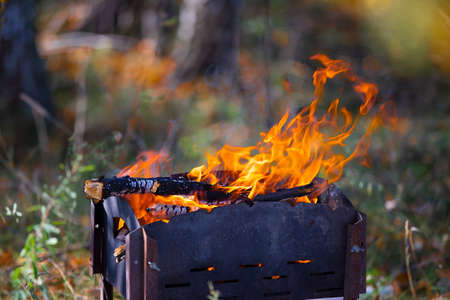 The fire burns in the brazier against the backdrop of the forest.