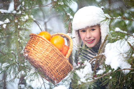 Happy little boy with a basket of oranges against the background of snow-covered fir branches. Child with fruits in winter.の写真素材