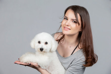 A beautiful young woman is holding her bichon puppy. Love between owner and dog. The girl is playing...