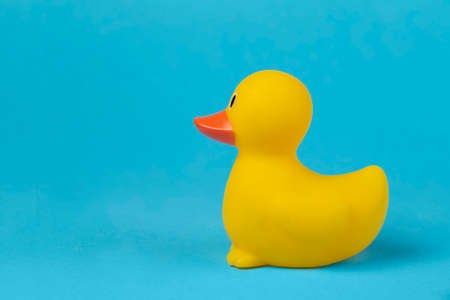 Side view of a yellow rubber duck on a blue background.の写真素材