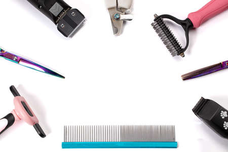 Tool for the groomer on a white background. dog grooming accessories. Scissors for cutting animals. View from aboveの写真素材
