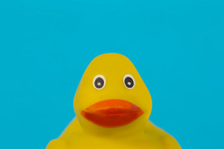 Muzzle yellow rubber duck for swimming on a blue background.の写真素材