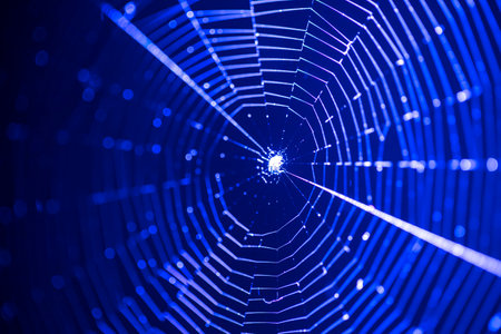 Beautiful web illuminated by blue light. internet concept.