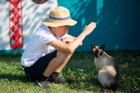 A village boy plays with a Siamese cat.の写真素材