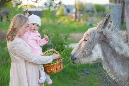 Mom with a little daughter feeds a donkey. A woman with a child on a farm.の写真素材
