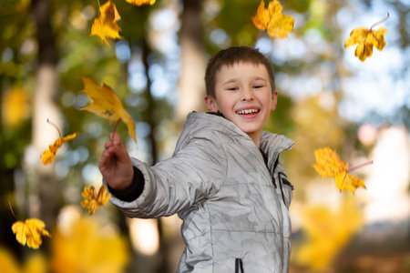 Autumn portrait of a child in autumn yellow leaves.Happy child in the park outdoors, scatters leavesの写真素材