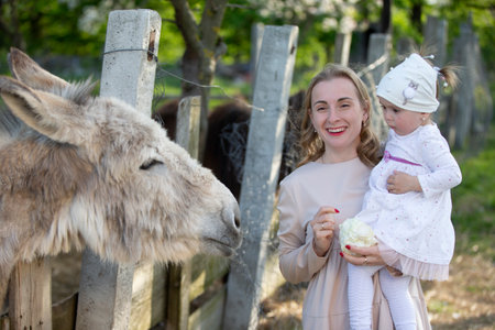 Mom with a little daughter feeds a donkey. A woman with a child on a farm.の写真素材