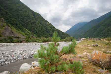 Mountain river against the backdrop of beautiful mountains and sky.の写真素材