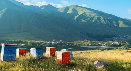 Wooden beehives against the backdrop of a mountain landscape.の写真素材
