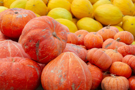 Close-up orange and yellow pumpkins piled up. Sale of pumpkins and autumn harvest.