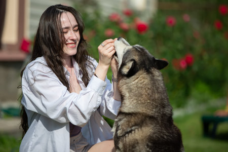 A beautiful girl is playing with a Husky dog.の写真素材