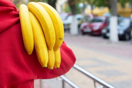 A bunch of yellow ripe bananas over my shoulders.の写真素材