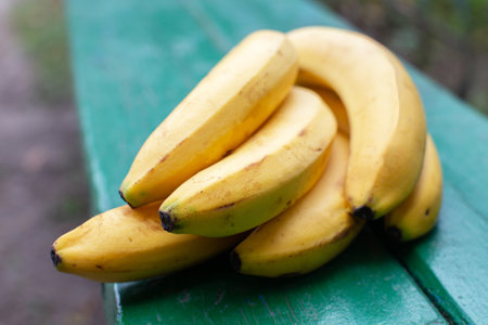 A yellow branch of ripe bananas lies on a green bench.の写真素材