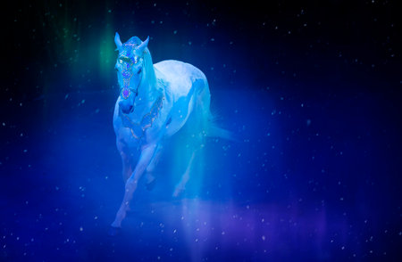 A white circus horse performs in the circus arena in the blue rays of stage lighting.の写真素材
