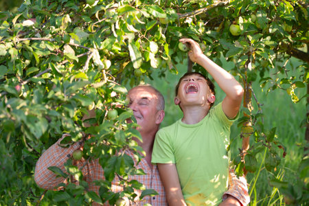A man and a boy pick apples from a tree. Dad is smiling and son is holding an apple