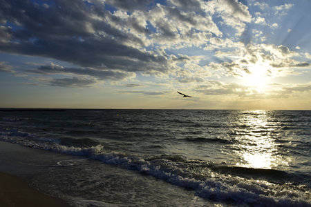 Morning at the seaの写真素材