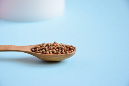 Little coriander in the wood spoonの写真素材