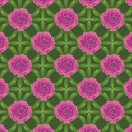 background from peoniesのイラスト素材