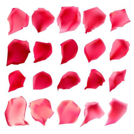 Vector red and pink rose petals. Elements for wedding, romantic, love, valentine design.のイラスト素材