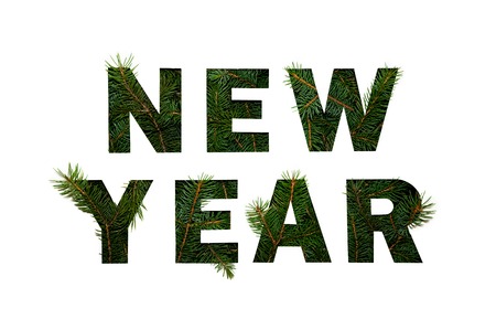 Words New Year with Green Fir Branches on Light Background. Creative Nature Concept. Minimal Flat Layの写真素材