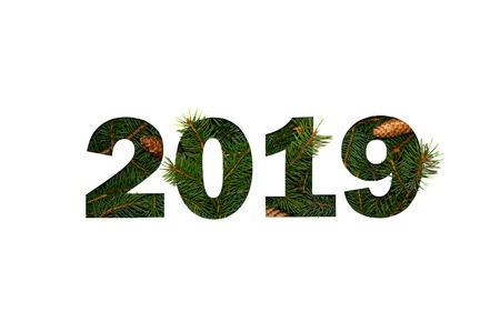 Creative Nature Concept of New Year. Minimal Holiday Composition. Top View Flat Lay