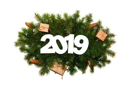 Number Two Thousand and Nineteen on Green Fir Branches on Light Background. Creative Concept. Minimal Flat Layの写真素材