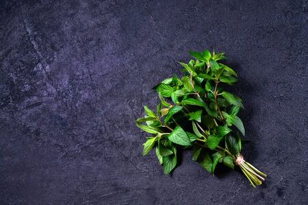 Fresh Mint on Dark Stone Table. Copy Space For Your Text