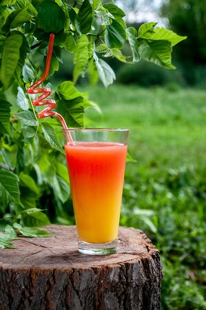 Summer Cocktail in Glass on Wooden Stump in Forest. Refreshing Drink Concept.の写真素材