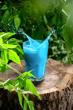 Blue Hawaii Cocktail in Glass with Splash on Wooden Stump in Forest. Refreshing Summer Drink Concept.の写真素材